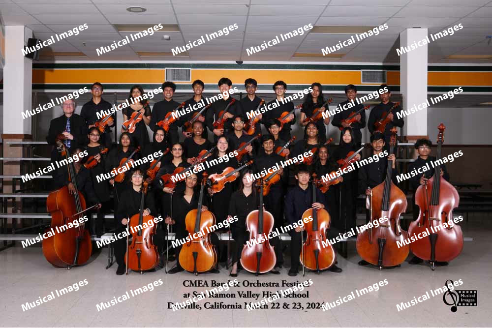 Musical Images